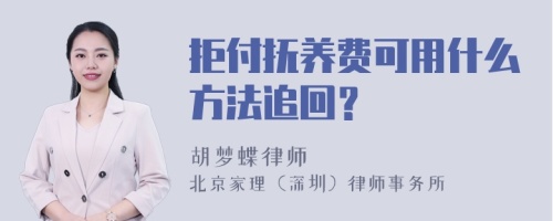 拒付抚养费可用什么方法追回？