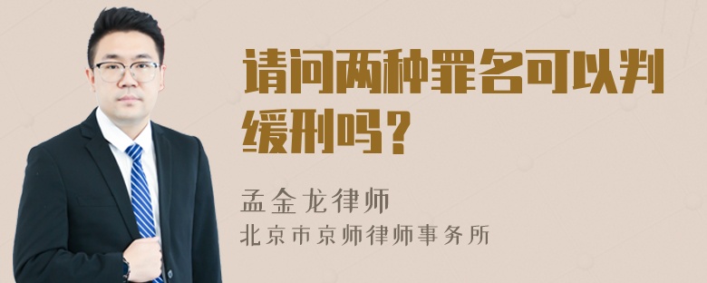 请问两种罪名可以判缓刑吗？