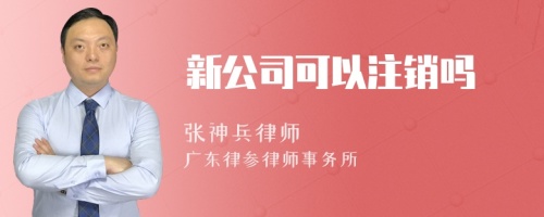 新公司可以注销吗