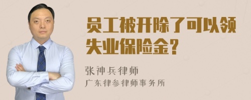 员工被开除了可以领失业保险金?