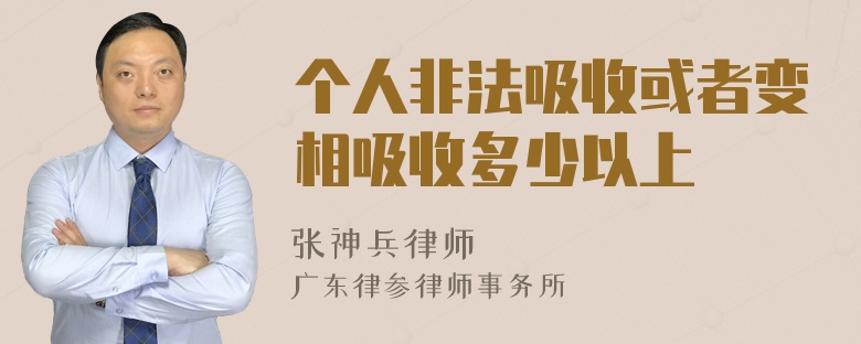 个人非法吸收或者变相吸收多少以上