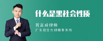 什么是黑社会性质