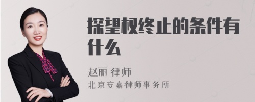 探望权终止的条件有什么