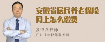 安徽省居民养老保险网上怎么缴费