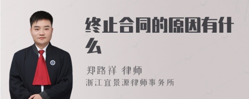 终止合同的原因有什么