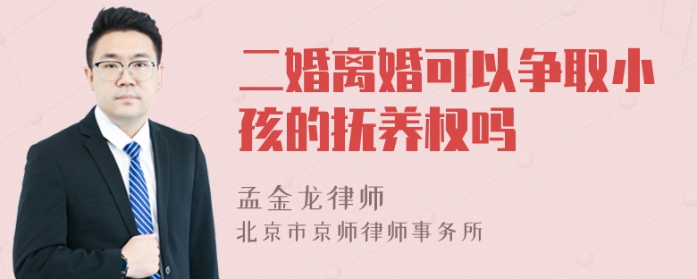 二婚离婚可以争取小孩的抚养权吗