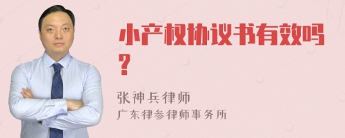 小产权协议书有效吗?