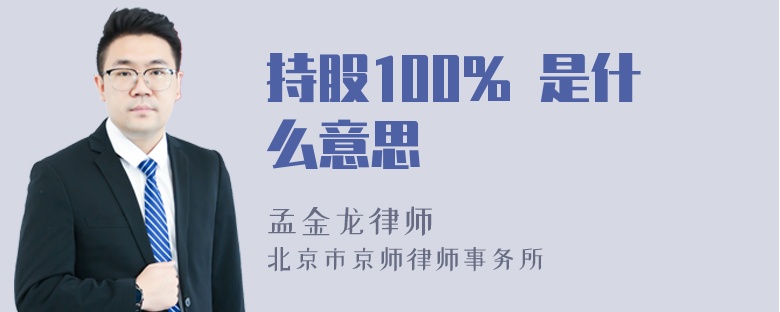 持股100% 是什么意思