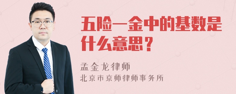 五险一金中的基数是什么意思？