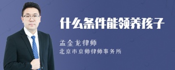 什么条件能领养孩子