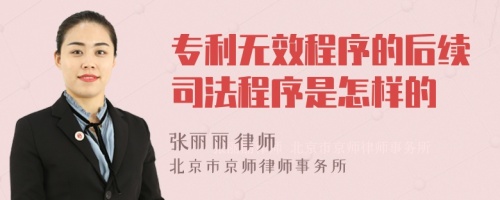 专利无效程序的后续司法程序是怎样的