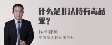 什么是非法持有毒品罪？