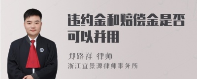 违约金和赔偿金是否可以并用