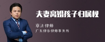 夫妻离婚孩子归属权