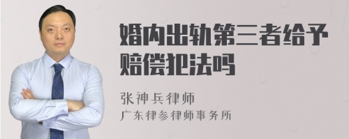 婚内出轨第三者给予赔偿犯法吗