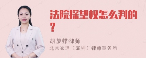 法院探望权怎么判的?