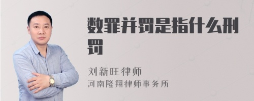 数罪并罚是指什么刑罚