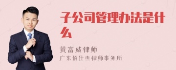 子公司管理办法是什么