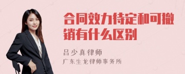 合同效力待定和可撤销有什么区别