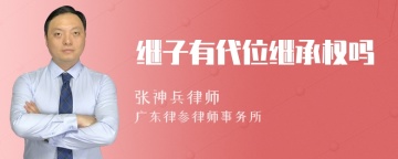 继子有代位继承权吗