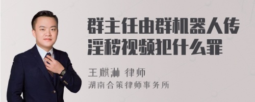 群主任由群机器人传淫秽视频犯什么罪