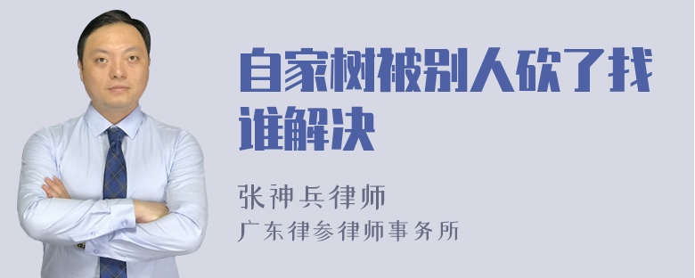 自家树被别人砍了找谁解决