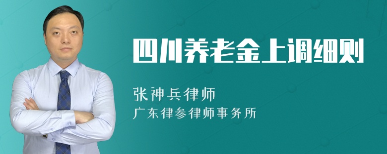 四川养老金上调细则