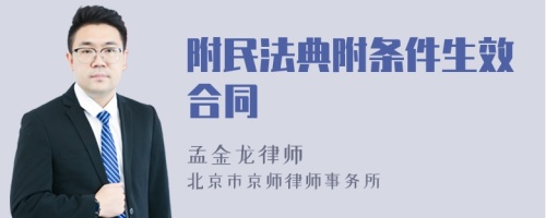 附民法典附条件生效合同