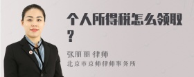 个人所得税怎么领取？