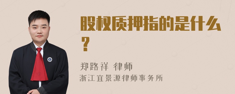 股权质押指的是什么？