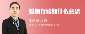 婚姻存续期什么意思