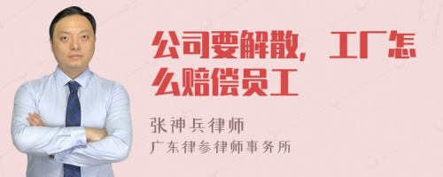 公司要解散，工厂怎么赔偿员工