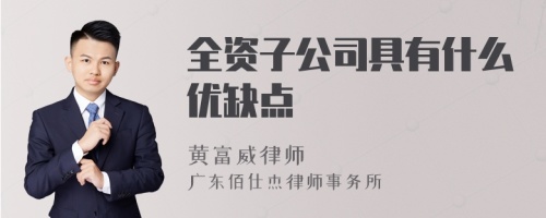 全资子公司具有什么优缺点