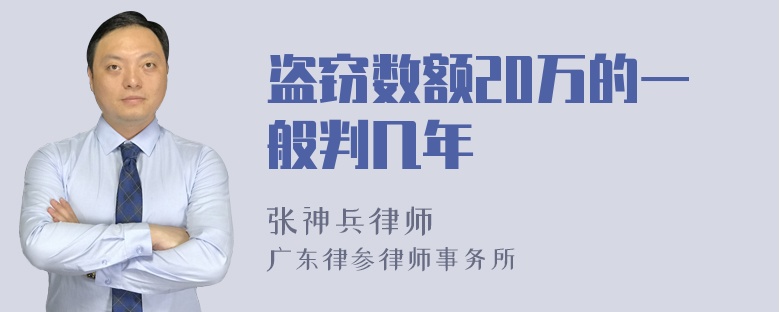 盗窃数额20万的一般判几年