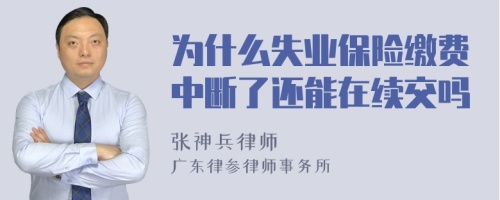 为什么失业保险缴费中断了还能在续交吗