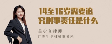 14至16岁需要追究刑事责任是什么