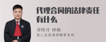 代理合同的法律责任有什么