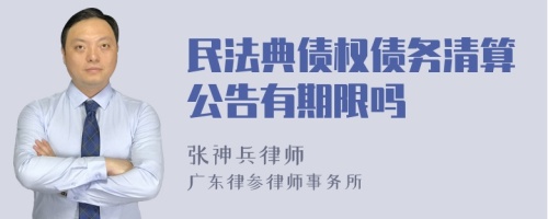 民法典债权债务清算公告有期限吗