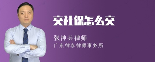 交社保怎么交