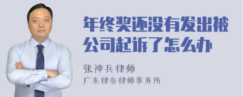 年终奖还没有发出被公司起诉了怎么办