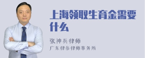 上海领取生育金需要什么