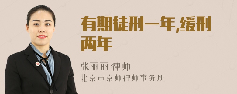 有期徒刑一年,缓刑两年