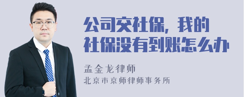 公司交社保, 我的社保没有到账怎么办