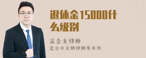 退休金15000什么级别