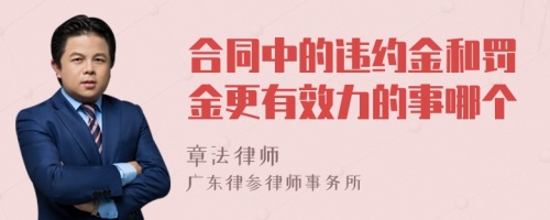 合同中的违约金和罚金更有效力的事哪个