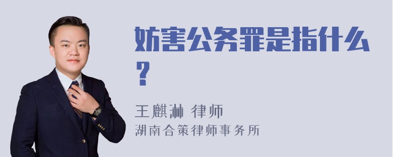 妨害公务罪是指什么？