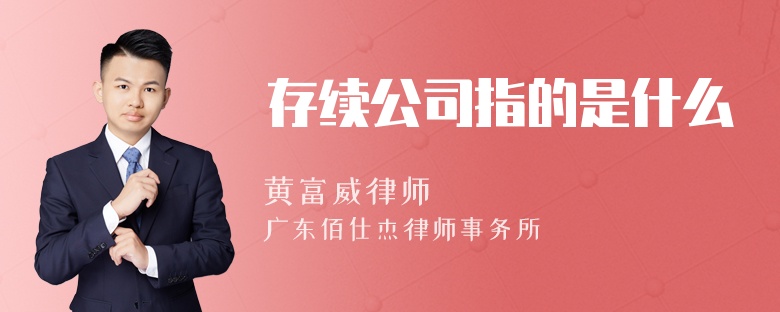 存续公司指的是什么