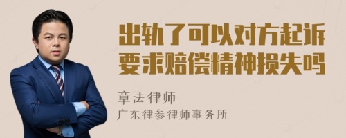 出轨了可以对方起诉要求赔偿精神损失吗