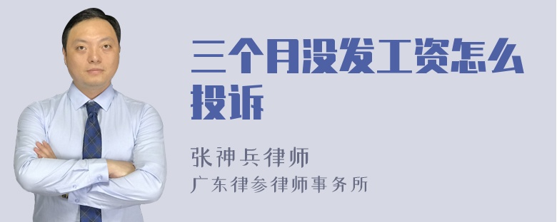 三个月没发工资怎么投诉