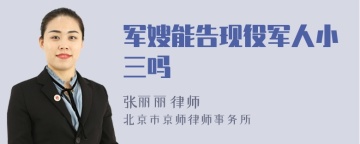 军嫂能告现役军人小三吗